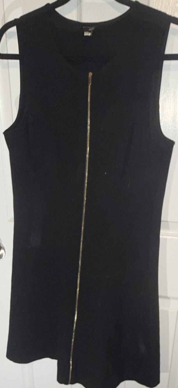 Ann Taylor Black Fit & Flare Dress Size 6 Sleeveless Round Neck Full Zip